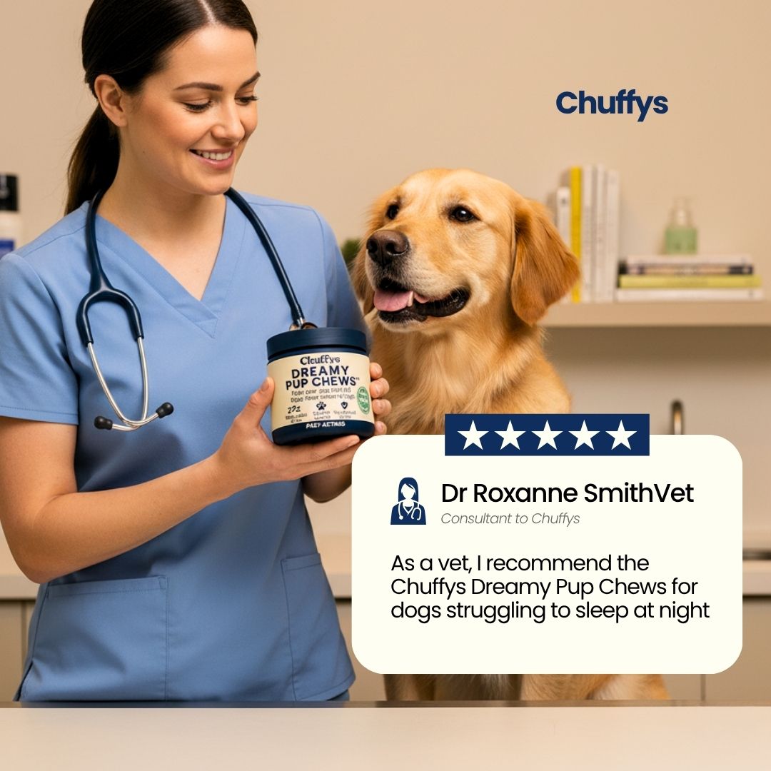 The First Sleep Chew For Dogs