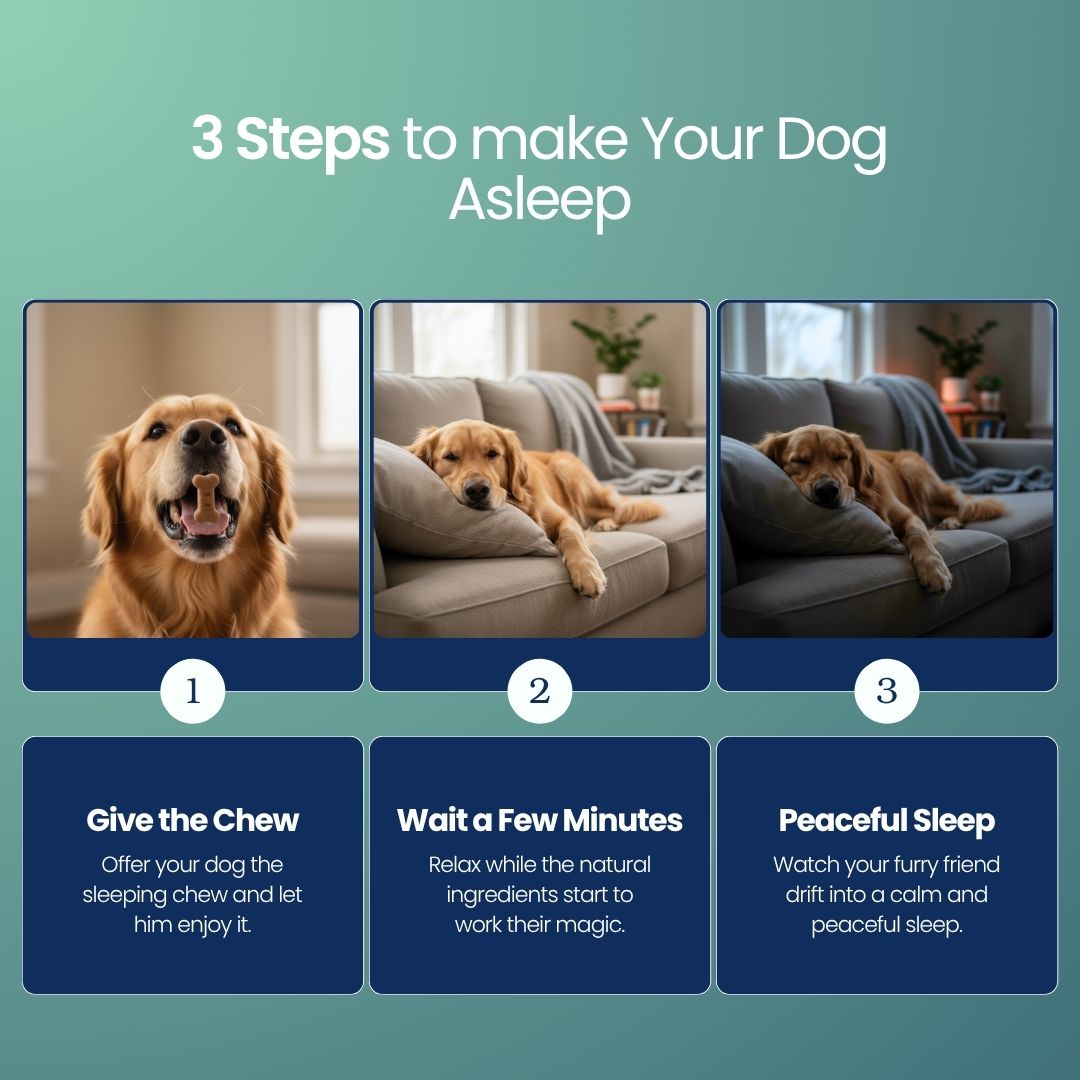 The First Sleep Chew For Dogs