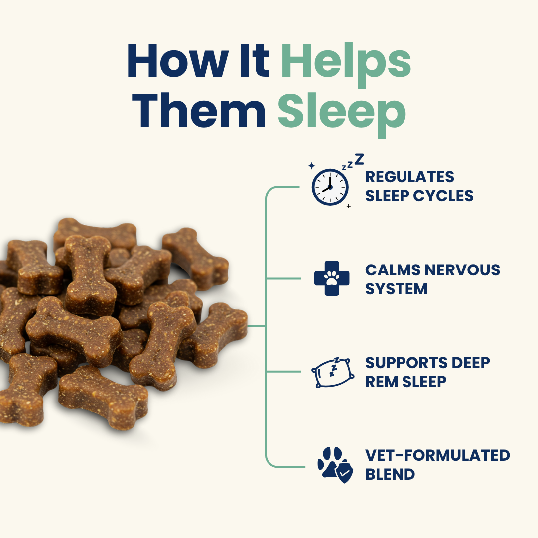 The First Sleep Chew For Dogs