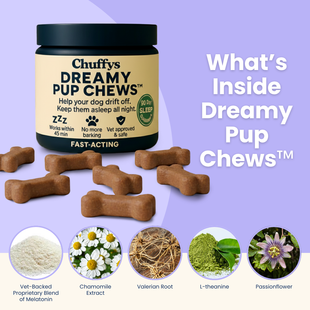 The First Sleep Chew For Dogs