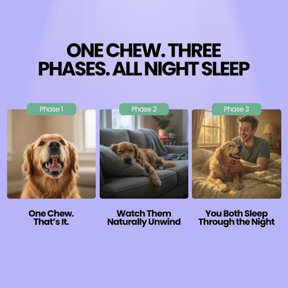 The First Sleep Chew For Dogs