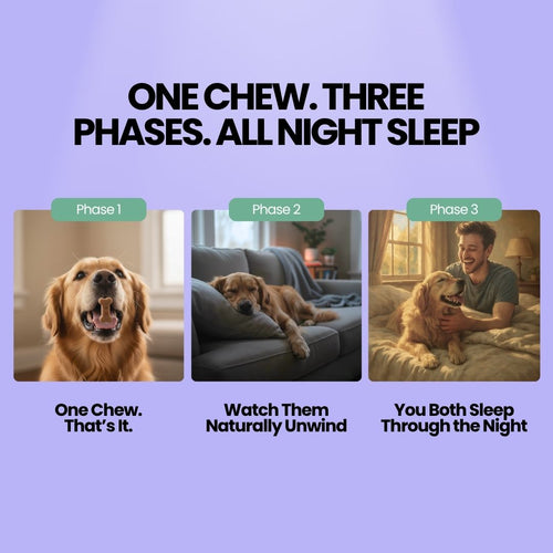The First Sleep Chew For Dogs