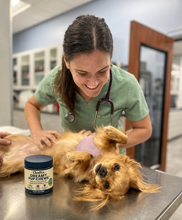 Dr. Erin Pugh, DVM