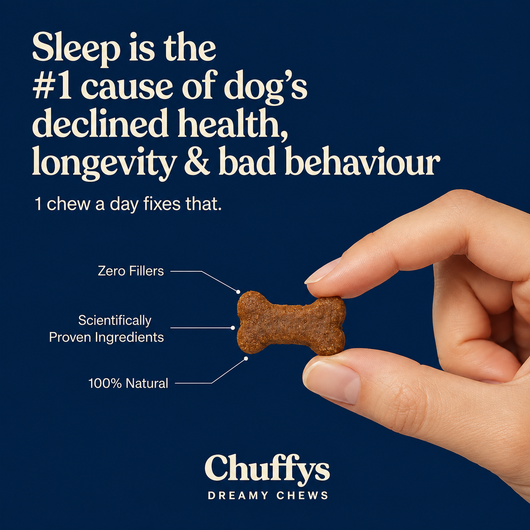 Dreamy Pup Chews™