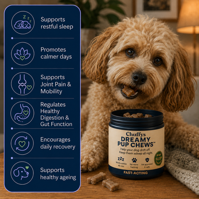 Dreamy Pup Chews™