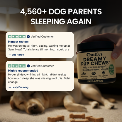The First Sleep Chew For Dogs